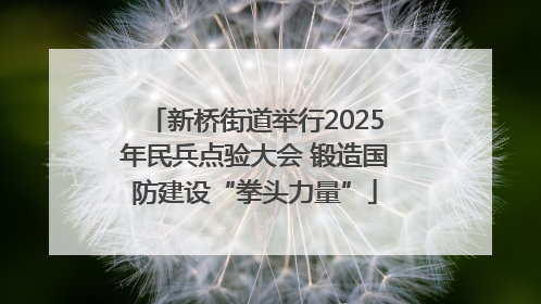 新桥街道举行2025年民兵点验大会 锻造国防建设“拳头力量”