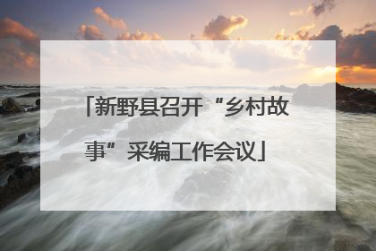 新野县召开“乡村故事”采编工作会议