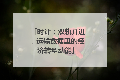 时评：双轨并进，运输数据里的经济转型动能
