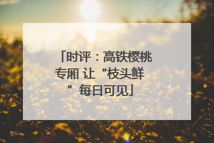时评：高铁樱桃专厢 让“枝头鲜”每日可见