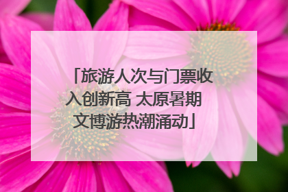 旅游人次与门票收入创新高 太原暑期文博游热潮涌动
