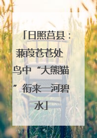 日照莒县：蒹葭苍苍处 鸟中“大熊猫”衔来一河碧水