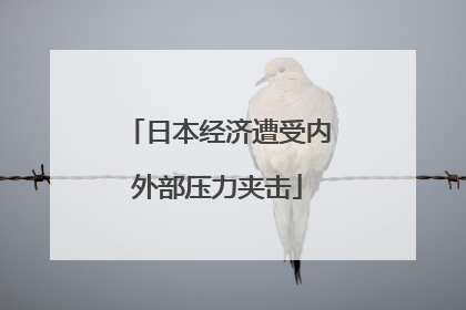 日本经济遭受内外部压力夹击