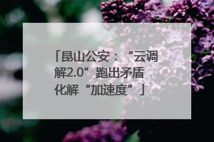 昆山公安：“云调解2.0”跑出矛盾化解“加速度”