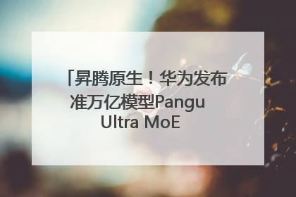 昇腾原生！华为发布准万亿模型Pangu Ultra MoE模型架构和训练细节