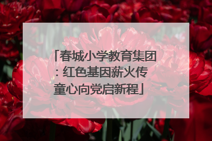 春城小学教育集团：红色基因薪火传 童心向党启新程