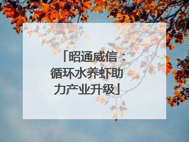 昭通威信：循环水养虾助力产业升级