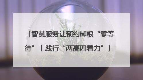 智慧服务让预约卸粮“零等待”丨践行“两高四着力”