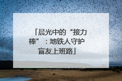晨光中的“接力棒”：地铁人守护盲友上班路