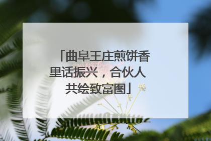 曲阜王庄煎饼香里话振兴，合伙人共绘致富图