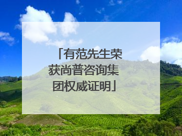 有范先生荣获尚普咨询集团权威证明