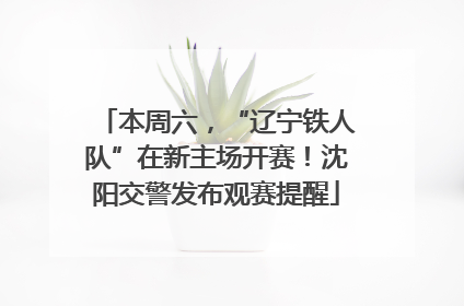 本周六，“辽宁铁人队”在新主场开赛！沈阳交警发布观赛提醒
