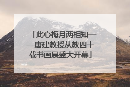 此心梅月两相知——唐建教授从教四十载书画展盛大开幕