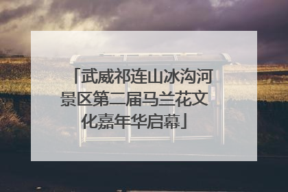 武威祁连山冰沟河景区第二届马兰花文化嘉年华启幕