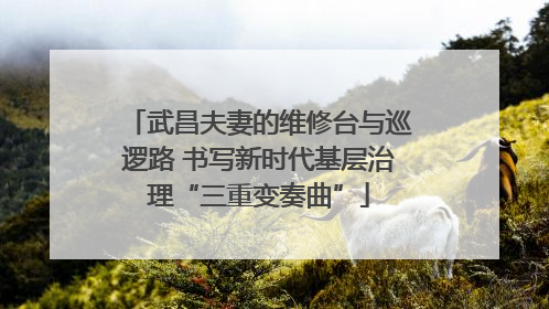 武昌夫妻的维修台与巡逻路 书写新时代基层治理“三重变奏曲”