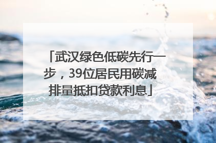 武汉绿色低碳先行一步，39位居民用碳减排量抵扣贷款利息
