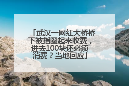 武汉一网红大桥桥下被指圈起来收费，进去100块还必须消费？当地回应
