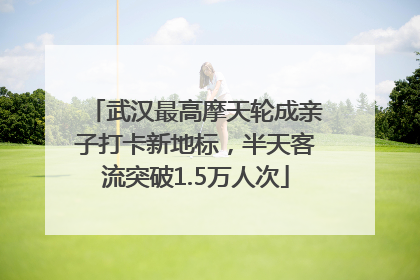 武汉最高摩天轮成亲子打卡新地标，半天客流突破1.5万人次