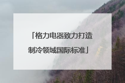格力电器致力打造制冷领域国际标准