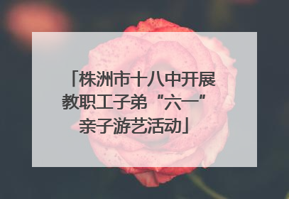 株洲市十八中开展教职工子弟“六一”亲子游艺活动