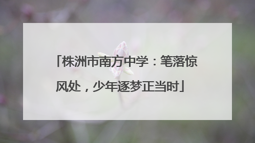 株洲市南方中学：笔落惊风处，少年逐梦正当时