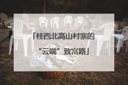 桂西北高山村寨的“云端”致富路