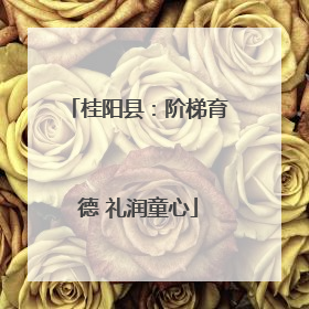 桂阳县：阶梯育德 礼润童心