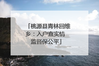 桃源县青林回维乡：入户查实情 监督保公平