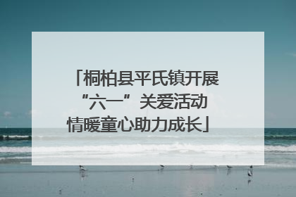 桐柏县平氏镇开展“六一”关爱活动 情暖童心助力成长