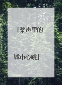桨声里的城市心跳