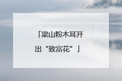 梁山粉木耳开出“致富花”