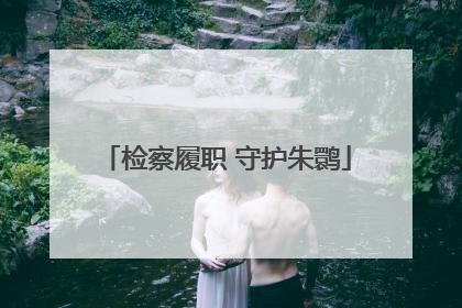 检察履职 守护朱鹮