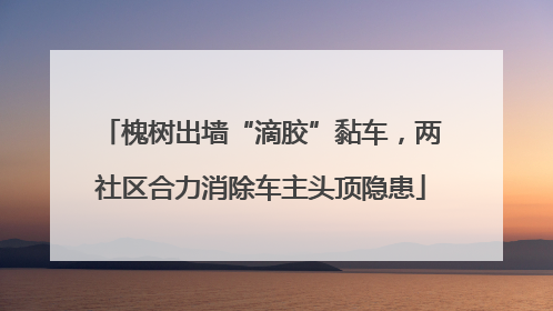 槐树出墙“滴胶”黏车，两社区合力消除车主头顶隐患