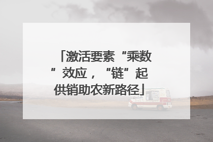激活要素“乘数”效应，“链”起供销助农新路径