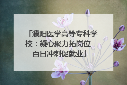 濮阳医学高等专科学校：凝心聚力拓岗位 百日冲刺促就业