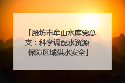 潍坊市牟山水库党总支：科学调配水资源 保障区域供水安全