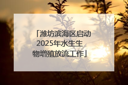 潍坊滨海区启动2025年水生生物增殖放流工作