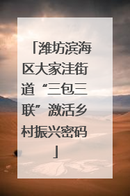 潍坊滨海区大家洼街道“三包三联”激活乡村振兴密码