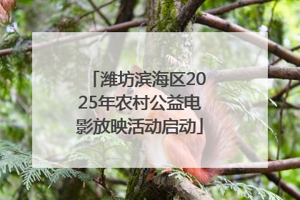潍坊滨海区2025年农村公益电影放映活动启动