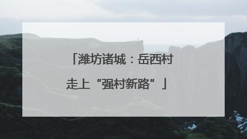潍坊诸城：岳西村走上“强村新路”