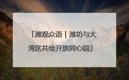 潍观众语｜潍坊与大湾区共绘开放同心圆