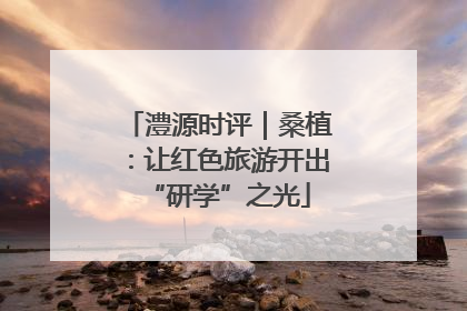 澧源时评｜桑植：让红色旅游开出“研学”之光
