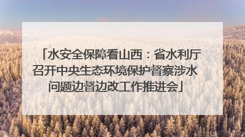 水安全保障看山西：省水利厅召开中央生态环境保护督察涉水问题边督边改工作推进会