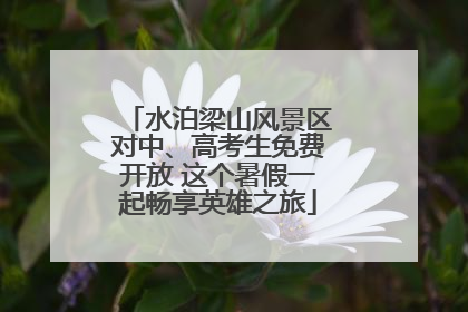 水泊梁山风景区对中、高考生免费开放 这个暑假一起畅享英雄之旅