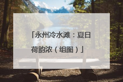 永州冷水滩：夏日荷韵浓（组图）