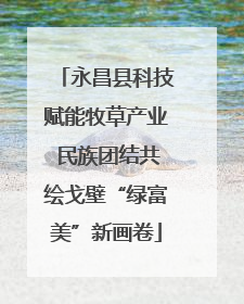 永昌县科技赋能牧草产业 民族团结共绘戈壁“绿富美”新画卷