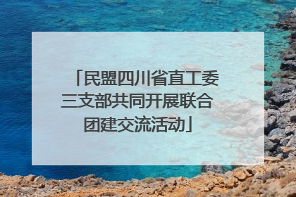 民盟四川省直工委三支部共同开展联合团建交流活动