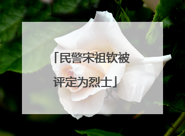 民警宋祖钦被评定为烈士