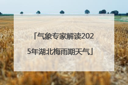 气象专家解读2025年湖北梅雨期天气