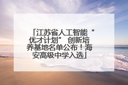 江苏省人工智能“优才计划” 创新培养基地名单公布！海安高级中学入选